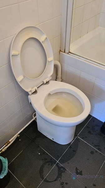  verstopping toilet Hendrik-Ido-Ambacht